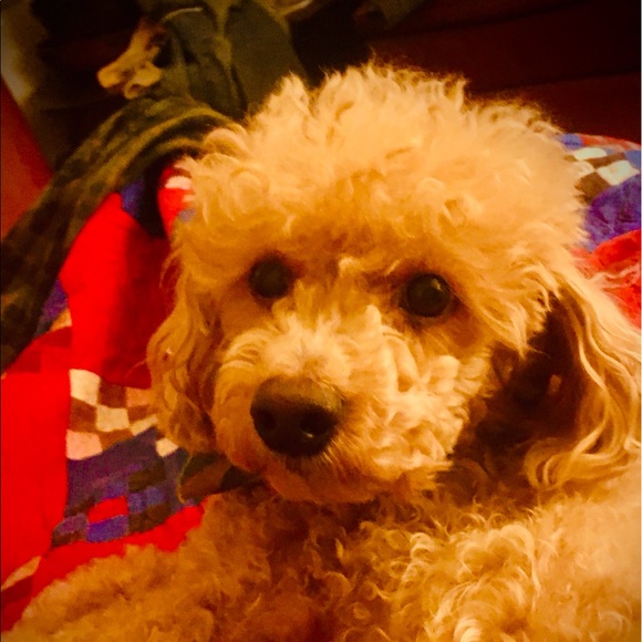 Meet your Posher, Franz - Picture 4 of 5